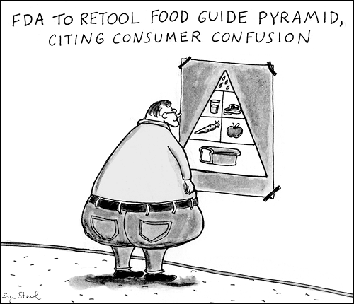 nutrition food guide obesity cartoon
