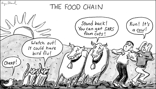 food-chain-flu.gif