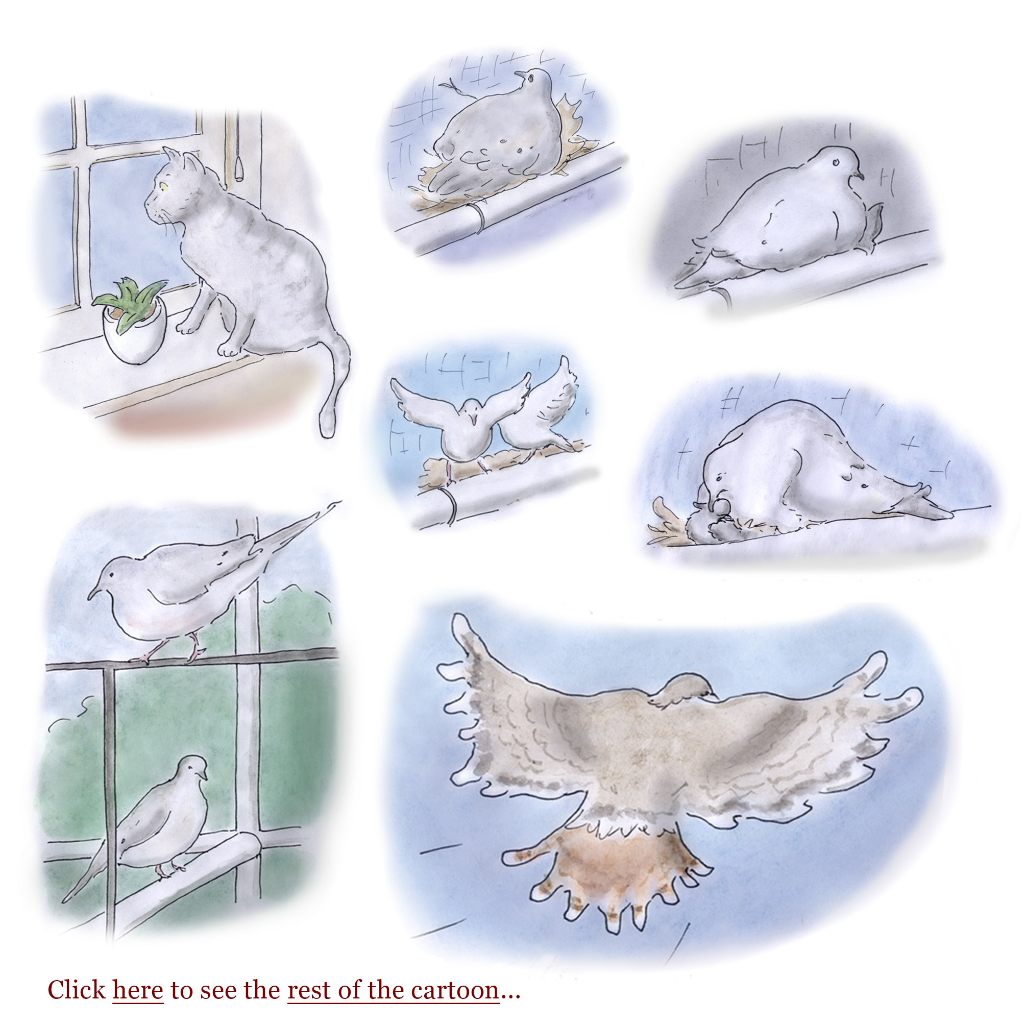 mourning doves, hatchings, leaving the nest, fledging birds, backyard birds, birdwatching, sage stossel